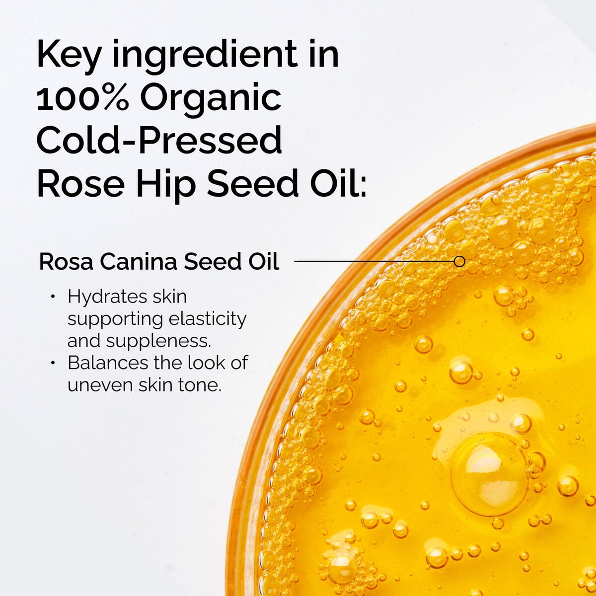 100-organic-cold-pressed-rose-hip-seed-oil-g7 FY25-D41247-ORD-Web-PDP-100-Rose-Hip-Oil-1x1-EN-2.jpg