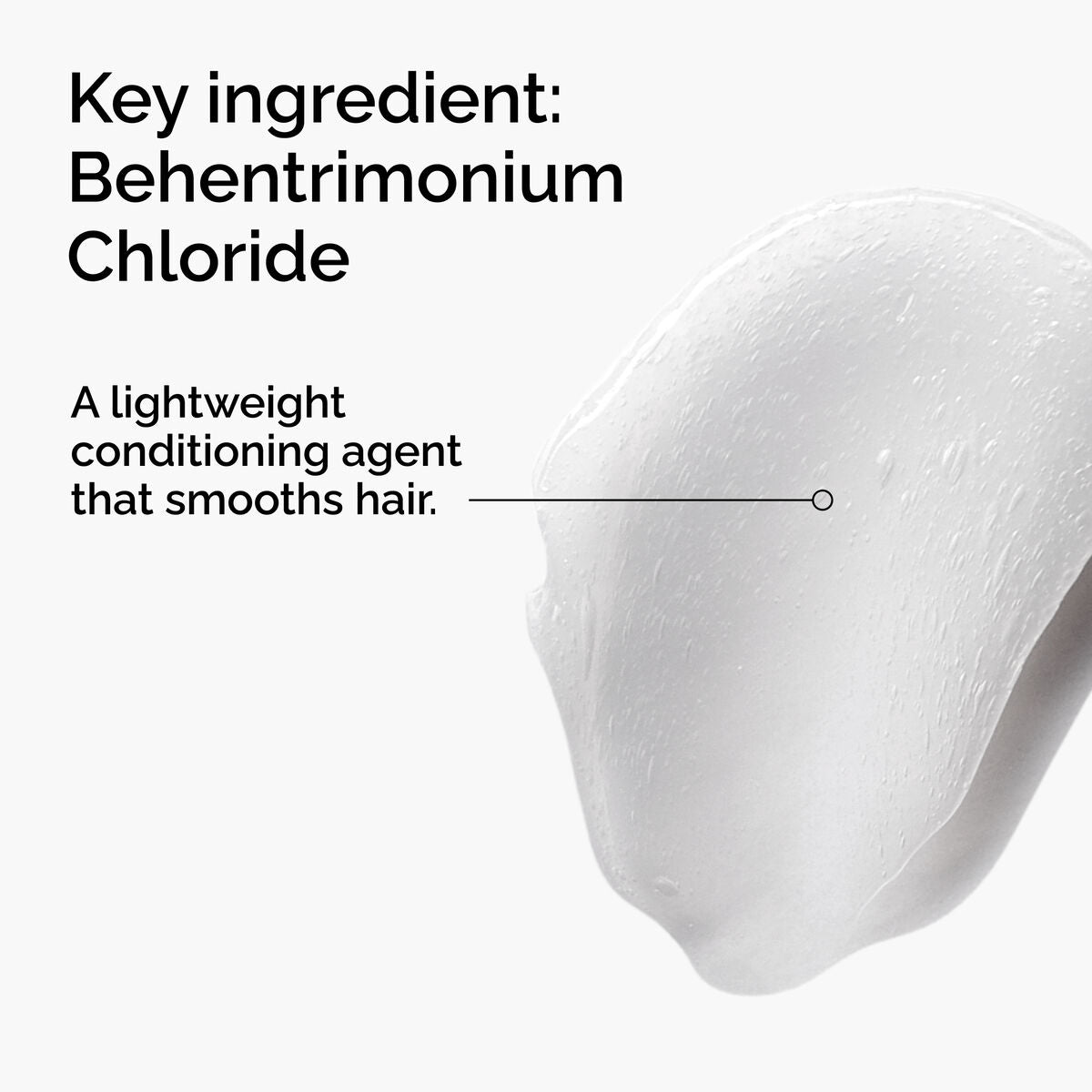 behentrimonium-chloride-2-conditioner-z1 FY25-D41247-ORD-Web-PDP-BTC-1x1-EN-2a.jpg