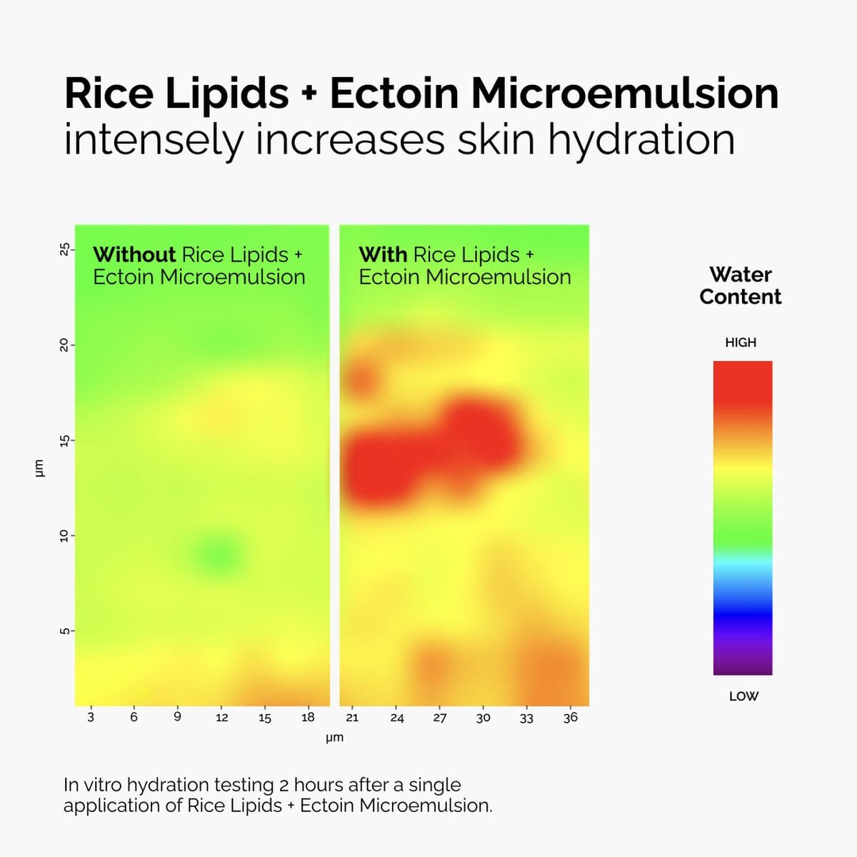 rice-lipids-ectoin-microemulsion-w2 ord-rice-lipids-ectoin-microemulsion-thermal-before-after.jpg